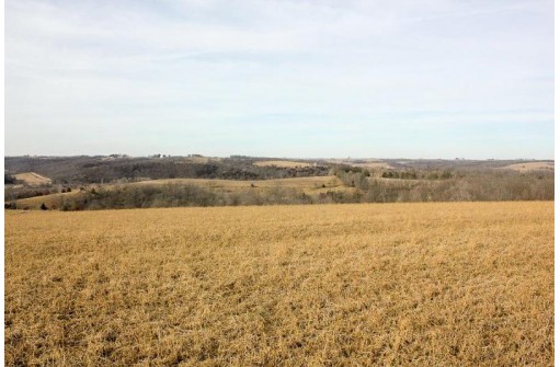 46.38AC Roddick Lane, Platteville, WI 53818