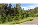 LOT 30 Red Tail Hawk Drive, Stevens Point, WI 54482