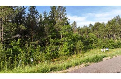 LOT 30 Red Tail Hawk Drive, Stevens Point, WI 54482