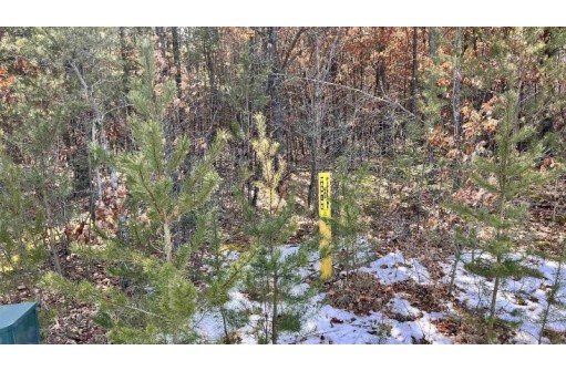 LOT 30 Red Tail Hawk Drive, Stevens Point, WI 54482