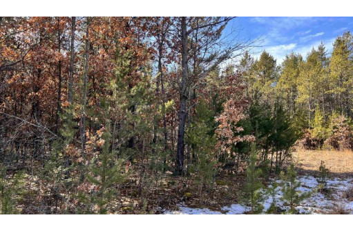 LOT 30 Red Tail Hawk Drive, Stevens Point, WI 54482