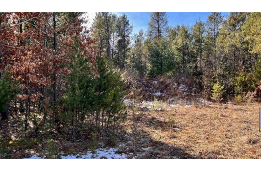 LOT 30 Red Tail Hawk Drive, Stevens Point, WI 54482