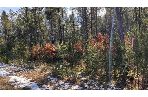 LOT 30 Red Tail Hawk Drive, Stevens Point, WI 54482