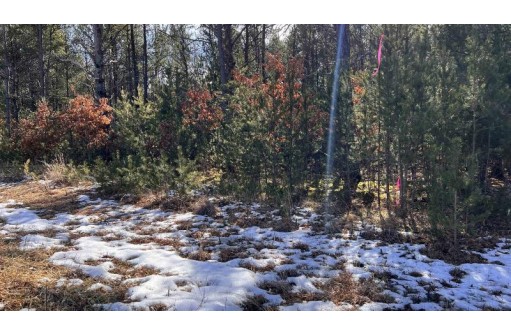 LOT 30 Red Tail Hawk Drive, Stevens Point, WI 54482