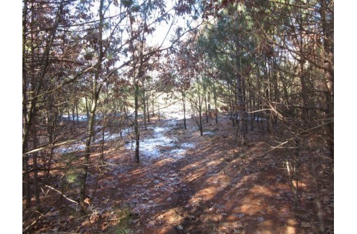 5 AC Evergreen Court, Adams, WI 53910