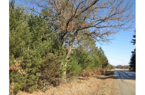 10 AC Evergreen Court, Adams, WI 53910