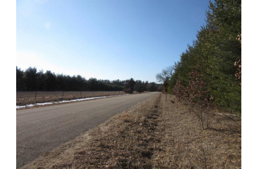 10 AC Evergreen Court, Adams, WI 53910