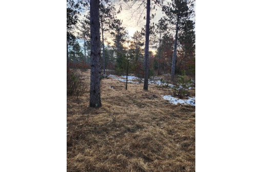 LOT 1 Tower Road, Wisconsin Rapids, WI 54494