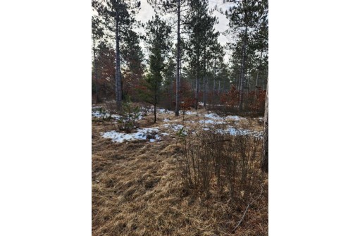 LOT 1 Tower Road, Wisconsin Rapids, WI 54494