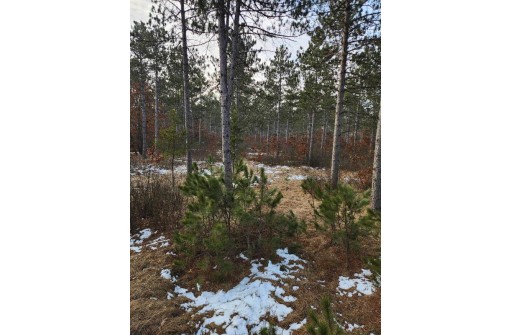 LOT 1 Tower Road, Wisconsin Rapids, WI 54494