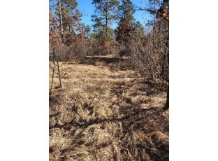 LOT 3 Tower Road Wisconsin Rapids, WI 54495