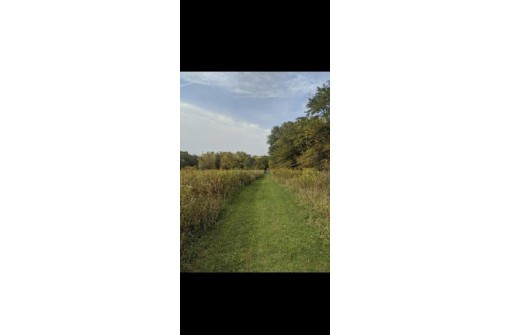 LOT 20 Walnut Bluff Road, Bloomington, WI 53804