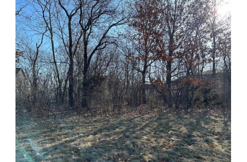 LOT 286 Championship Circle, Waunakee, WI 53597