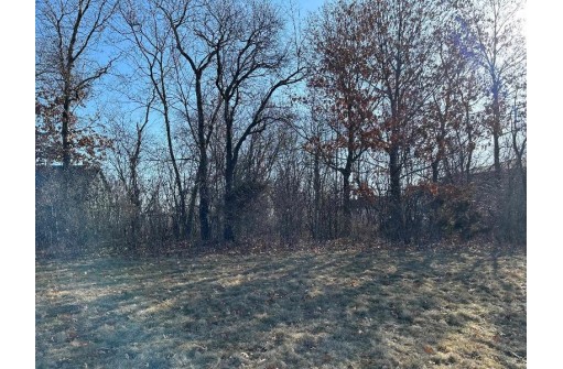 LOT 286 Championship Circle, Waunakee, WI 53597