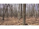 162+/- ACRES Germantown Road, New Lisbon, WI 53950