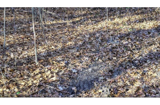 162+/- ACRES Germantown Road, New Lisbon, WI 53950