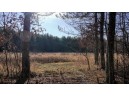 162+/- ACRES Germantown Road, New Lisbon, WI 53950