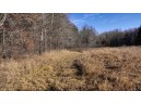 162+/- ACRES Germantown Road, New Lisbon, WI 53950