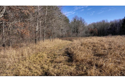 162+/- ACRES Germantown Road, New Lisbon, WI 53950