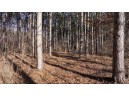 162+/- ACRES Germantown Road, New Lisbon, WI 53950