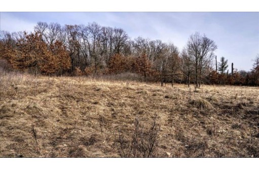 162+/- ACRES Germantown Road, New Lisbon, WI 53950