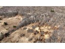 162+/- ACRES Germantown Road, New Lisbon, WI 53950