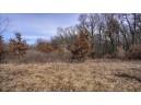 162+/- ACRES Germantown Road, New Lisbon, WI 53950