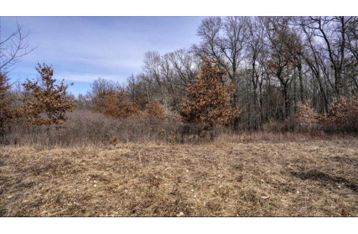 162+/- ACRES Germantown Road, New Lisbon, WI 53950