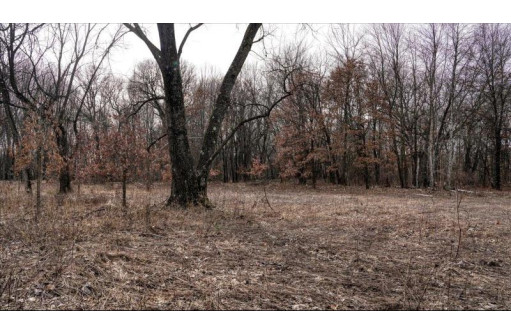 162+/- ACRES Germantown Road, New Lisbon, WI 53950