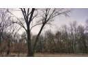 162+/- ACRES Germantown Road, New Lisbon, WI 53950