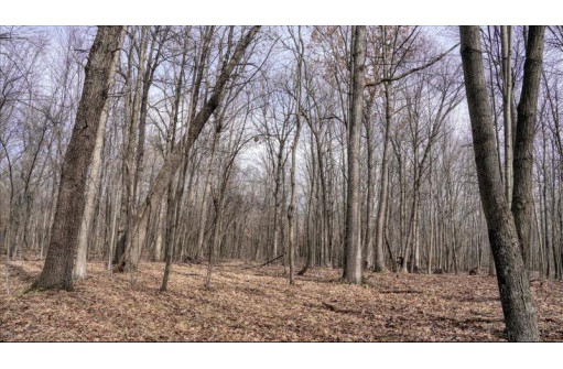 162+/- ACRES Germantown Road, New Lisbon, WI 53950