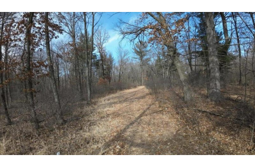 162+/- ACRES Germantown Road, New Lisbon, WI 53950