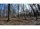 162+/- ACRES Germantown Road, New Lisbon, WI 53950