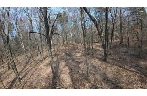 162+/- ACRES Germantown Road, New Lisbon, WI 53950