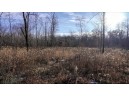 162+/- ACRES Germantown Road, New Lisbon, WI 53950