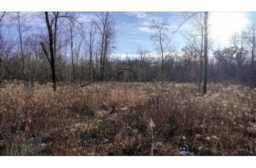 162+/- ACRES Germantown Road, New Lisbon, WI 53950