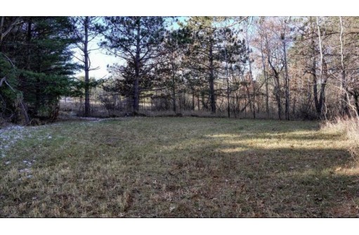 162+/- ACRES Germantown Road, New Lisbon, WI 53950