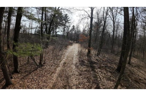 162+/- ACRES Germantown Road, New Lisbon, WI 53950