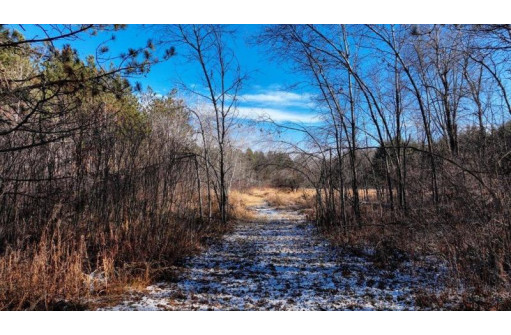 162+/- ACRES Germantown Road, New Lisbon, WI 53950