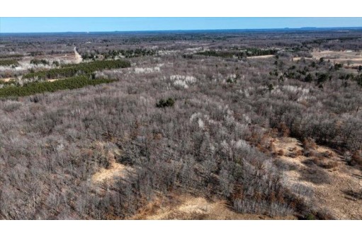 162+/- ACRES Germantown Road, New Lisbon, WI 53950