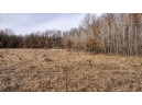 162+/- ACRES Germantown Road, New Lisbon, WI 53950