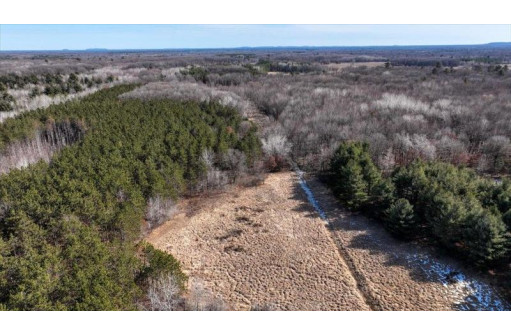 162+/- ACRES Germantown Road, New Lisbon, WI 53950