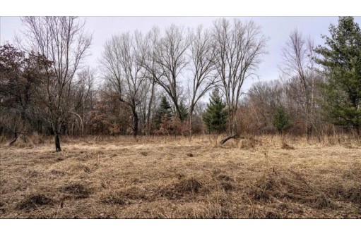 73+/- ACRES Germantown Road, New Lisbon, WI 53950