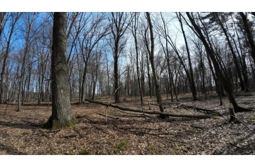 73+/- ACRES Germantown Road, New Lisbon, WI 53950