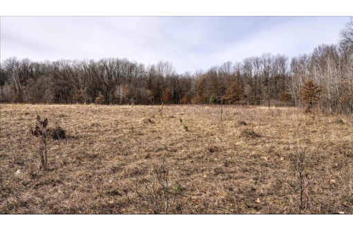 73+/- ACRES Germantown Road, New Lisbon, WI 53950