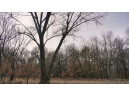 73+/- ACRES Germantown Road, New Lisbon, WI 53950