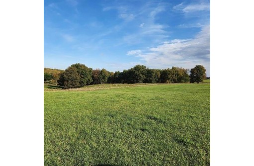 9.58 AC Burr Oak Road, Mineral Point, WI 53565