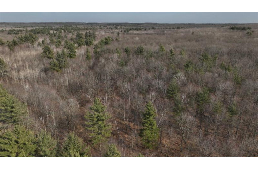 80 AC Chili Road, Neillsville, WI 54456