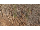 80 AC Chili Road, Neillsville, WI 54456