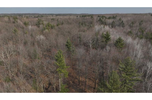 80 AC Chili Road, Neillsville, WI 54456